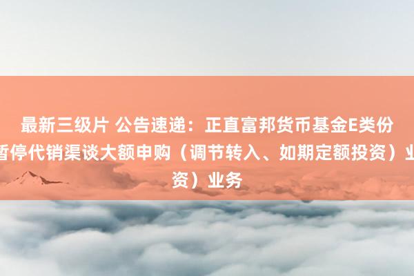 最新三级片 公告速递：正直富邦货币基金E类份额暂停代销渠谈大额申购（调节转入、如期定额投资）业务