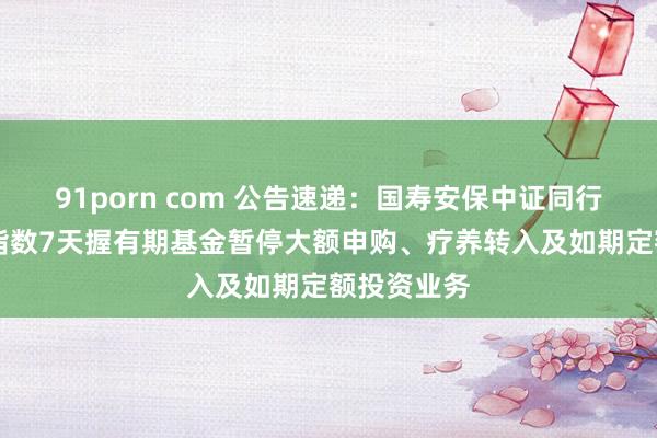 91porn com 公告速递：国寿安保中证同行存单AAA指数7天握有期基金暂停大额申购、疗养转入及如期定额投资业务