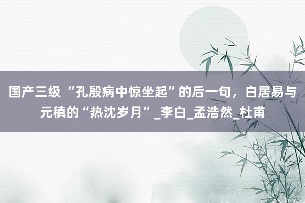 国产三级 “孔殷病中惊坐起”的后一句，白居易与元稹的“热沈岁月”_李白_孟浩然_杜甫