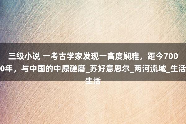 三级小说 一考古学家发现一高度娴雅，距今7000年，与中国的中原磋磨_苏好意思尔_两河流域_生活