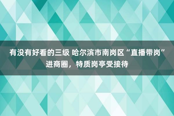 有没有好看的三级 哈尔滨市南岗区“直播带岗”进商圈，特质岗亭受接待