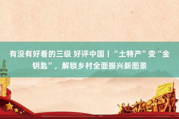 有没有好看的三级 好评中国丨“土特产”变“金钥匙”，解锁乡村全面振兴新图景