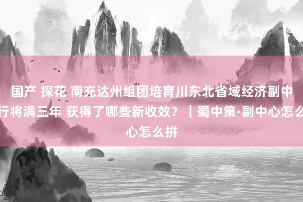 国产 探花 南充达州组团培育川东北省域经济副中心行将满三年 获得了哪些新收效？｜蜀中策·副中心怎么拼