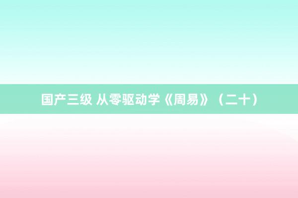 国产三级 从零驱动学《周易》（二十）
