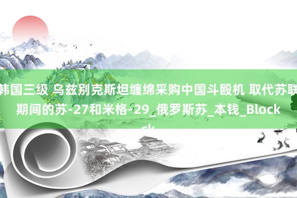 韩国三级 乌兹别克斯坦缠绵采购中国斗殴机 取代苏联期间的苏-27和米格-29_俄罗斯苏_本钱_Block