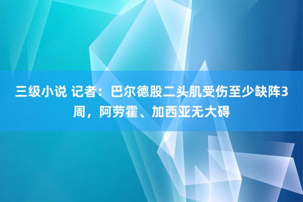 三级小说 记者：巴尔德股二头肌受伤至少缺阵3周，阿劳霍、加西亚无大碍