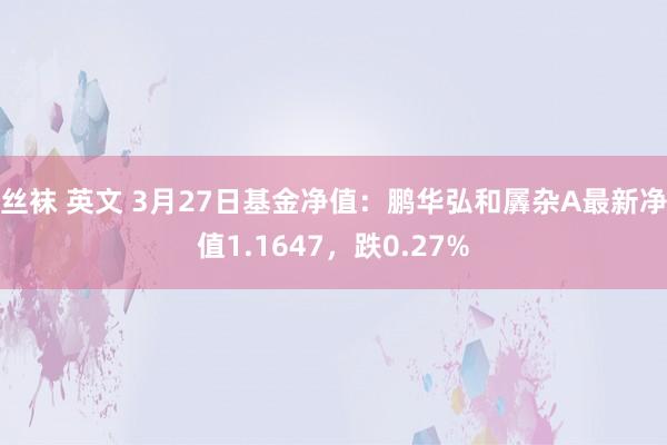 丝袜 英文 3月27日基金净值：鹏华弘和羼杂A最新净值1.1647，跌0.27%
