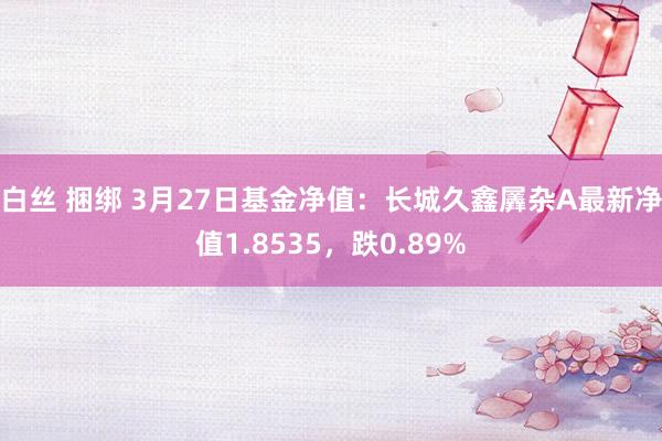 白丝 捆绑 3月27日基金净值：长城久鑫羼杂A最新净值1.8535，跌0.89%
