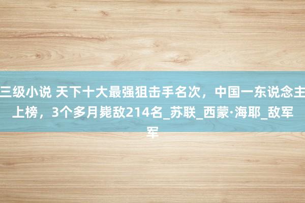 三级小说 天下十大最强狙击手名次，中国一东说念主上榜，3个多月毙敌214名_苏联_西蒙·海耶_敌军