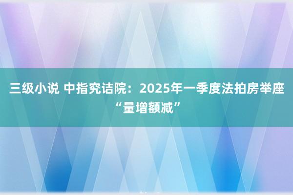 三级小说 中指究诘院：2025年一季度法拍房举座“量增额减”