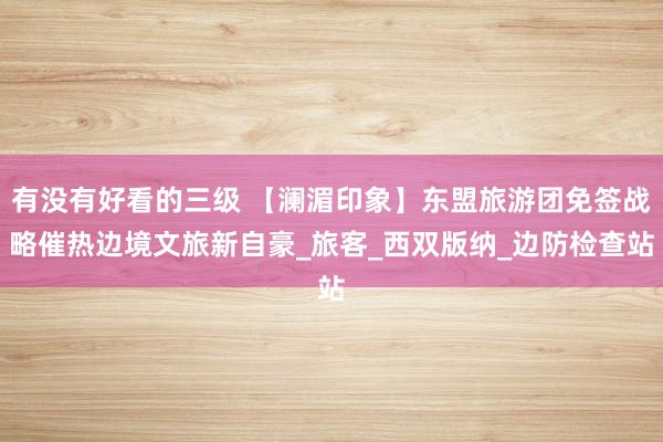 有没有好看的三级 【澜湄印象】东盟旅游团免签战略催热边境文旅新自豪_旅客_西双版纳_边防检查站