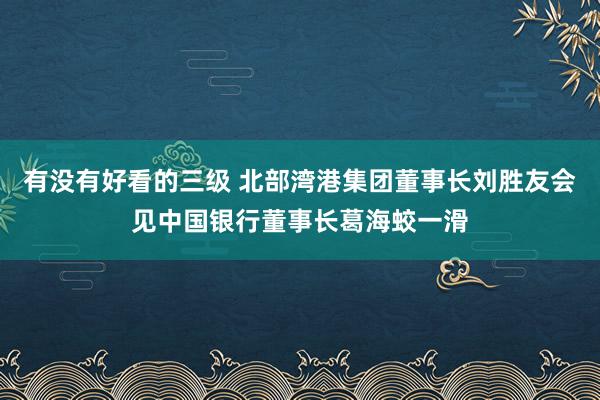 有没有好看的三级 北部湾港集团董事长刘胜友会见中国银行董事长葛海蛟一滑