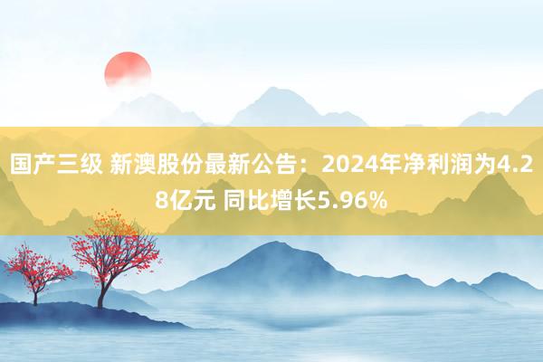 国产三级 新澳股份最新公告：2024年净利润为4.28亿元 同比增长5.96%