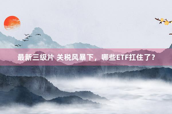 最新三级片 关税风暴下，哪些ETF扛住了？