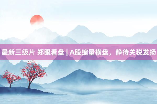最新三级片 郑眼看盘 | A股缩量横盘，静待关税发扬