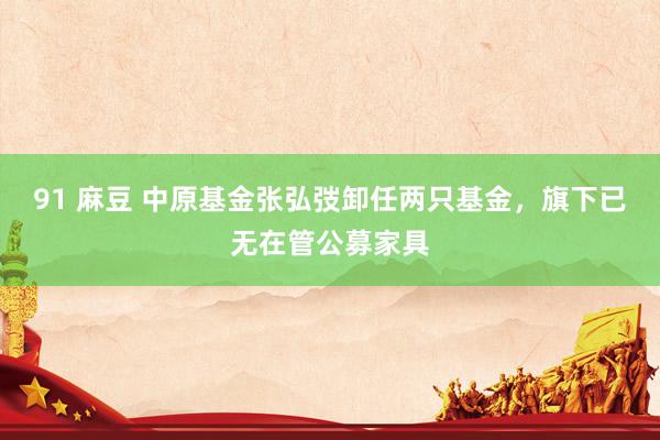 91 麻豆 中原基金张弘弢卸任两只基金，旗下已无在管公募家具