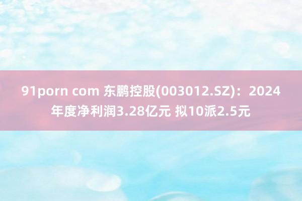 91porn com 东鹏控股(003012.SZ)：2024年度净利润3.28亿元 拟10派2.5元