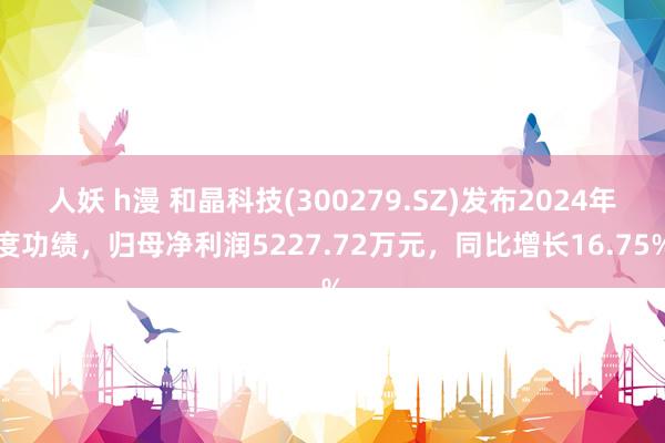 人妖 h漫 和晶科技(300279.SZ)发布2024年度功绩，归母净利润5227.72万元，同比增长16.75%