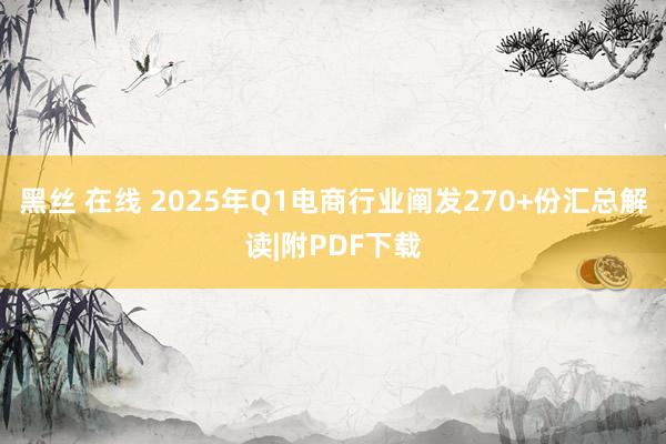 黑丝 在线 2025年Q1电商行业阐发270+份汇总解读|附PDF下载