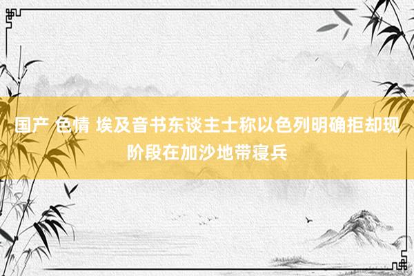 国产 色情 埃及音书东谈主士称以色列明确拒却现阶段在加沙地带寝兵