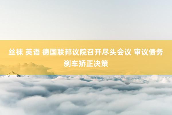 丝袜 英语 德国联邦议院召开尽头会议 审议债务刹车矫正决策
