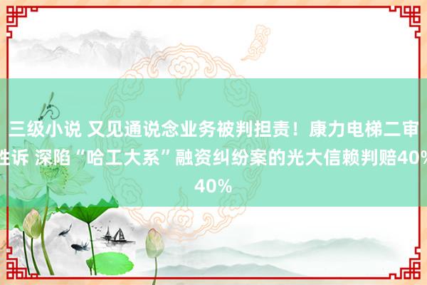 三级小说 又见通说念业务被判担责！康力电梯二审胜诉 深陷“哈工大系”融资纠纷案的光大信赖判赔40%