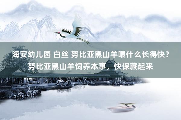 海安幼儿园 白丝 努比亚黑山羊喂什么长得快？努比亚黑山羊饲养本事，快保藏起来