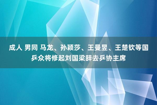 成人 男同 马龙、孙颖莎、王曼昱、王楚钦等国乒众将修起刘国梁辞去乒协主席
