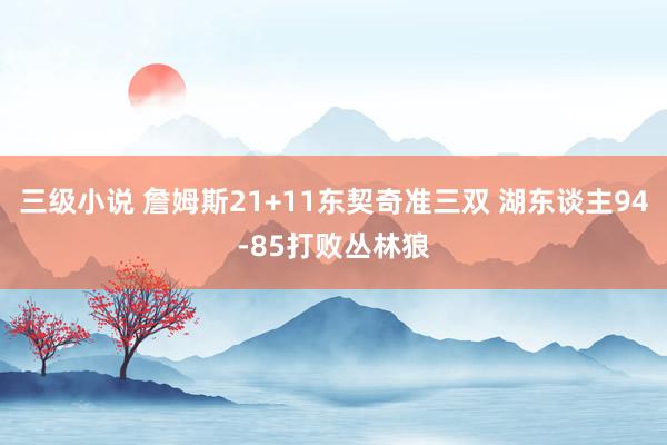 三级小说 詹姆斯21+11东契奇准三双 湖东谈主94-85打败丛林狼