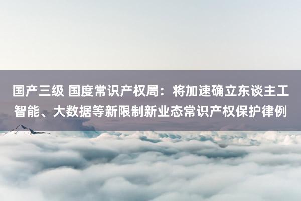 国产三级 国度常识产权局：将加速确立东谈主工智能、大数据等新限制新业态常识产权保护律例