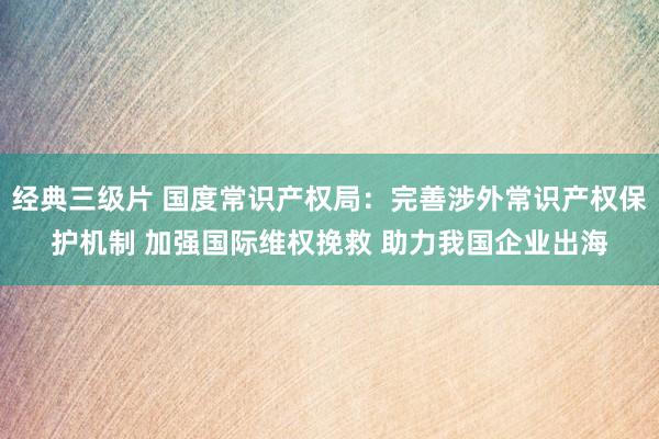 经典三级片 国度常识产权局：完善涉外常识产权保护机制 加强国际维权挽救 助力我国企业出海