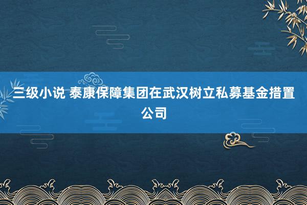 三级小说 泰康保障集团在武汉树立私募基金措置公司