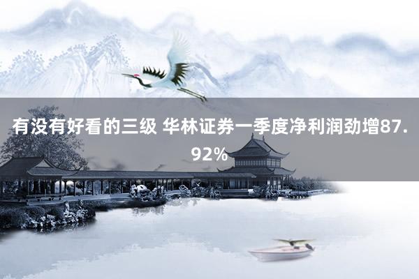 有没有好看的三级 华林证券一季度净利润劲增87.92%