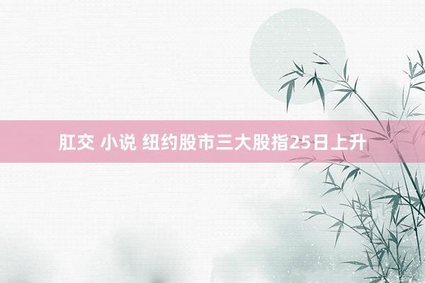 肛交 小说 纽约股市三大股指25日上升