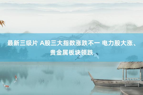 最新三级片 A股三大指数涨跌不一 电力股大涨、贵金属板块领跌