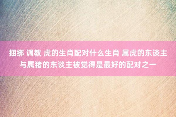 捆绑 调教 虎的生肖配对什么生肖 属虎的东谈主与属猪的东谈主被觉得是最好的配对之一